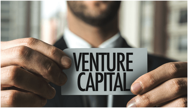 Venture Capitalist